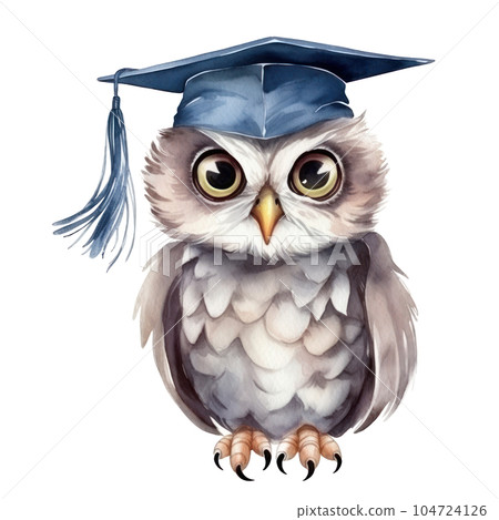Watercolor owl in graduation cap. Illustration AI Generative Watercolor owl in graduation cap. Illustration AI Generative 104724126