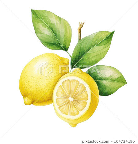 Watercolor lemon isolated. Illustration AI Generative Watercolor lemon isolated. Illustration AI Generative 104724190