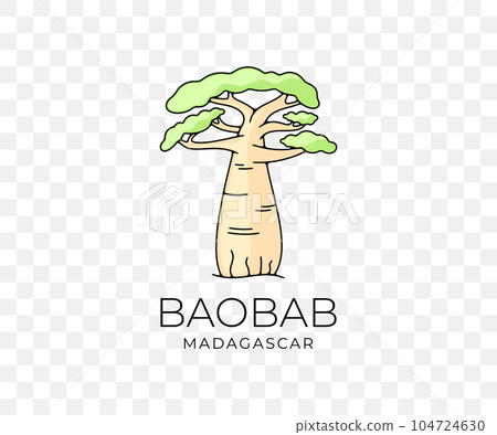 Madagascar african baobab, national park and savannah, nature, trees and plant, colored graphic design. Forest, savanna, flora, landscape and environment, vector design and illustration 104724630