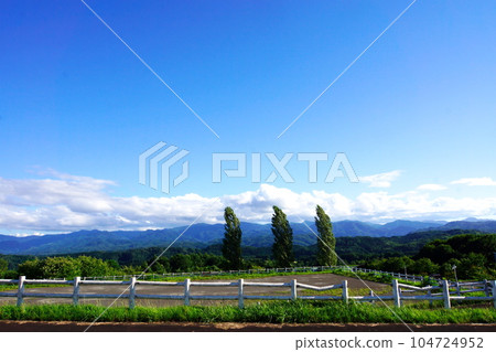 View of the hometown (Mt. Iwaki halfway up, summer) View of the hometown (Mt. Iwaki halfway up, summer) 104724952