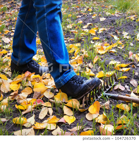 Male foot steps on a lying rake Male foot steps on a lying rake 104726370