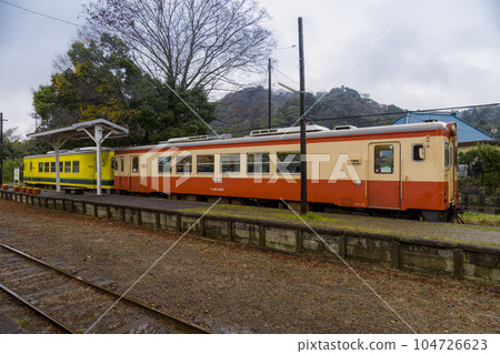 一輛停在當地線路站台上的火車車廂 一輛停在當地線路站台上的火車車廂 104726623
