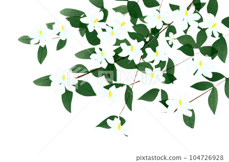 Gardenia flower card 2 Gardenia flower card 2 104726928