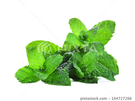 mint leaf isolated. fresh mint on white background mint leaf isolated. fresh mint on white background 104727266