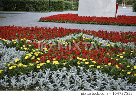 Flower beds in the memorial Park. Beautiful park flowers. 104727532