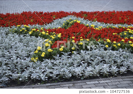 Flower beds in the memorial Park. Beautiful park flowers. 104727536