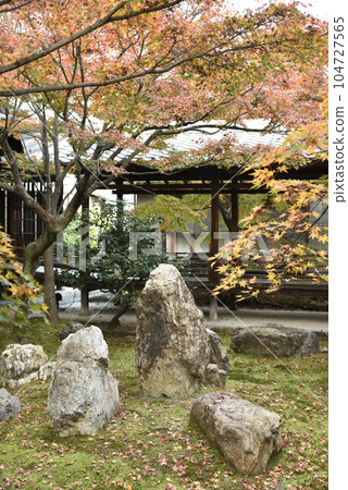 秋天的春亭建仁寺 秋天的春亭建仁寺 104727565