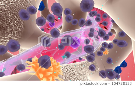 The Multiple Myeloma Cellular Level 104728133