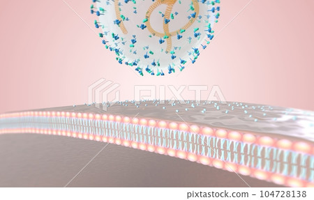 virus attack on immune system virus attack on immune system 104728138
