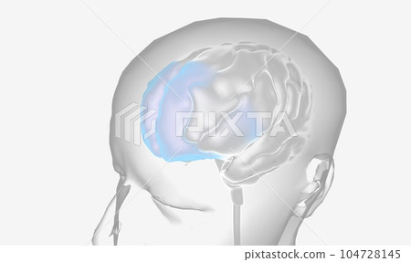 The Prefrontal Cortex Brain Stimulation The Prefrontal Cortex Brain Stimulation 104728145