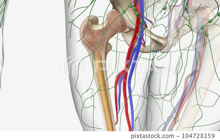 Multiple Myeloma Signs and Symptoms Multiple Myeloma Signs and Symptoms 104728159