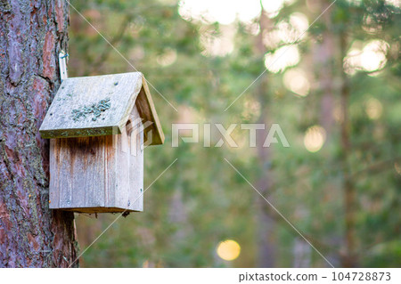 wooden birdhouse for birds on a tree in the Park close-up 104728873