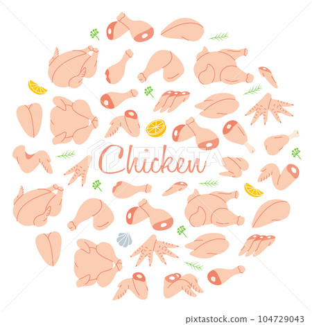 Chicken meats in circle design. Butcher shop banner. Whole chicken, brisket wing, carcass, fillet, ham, leg, breast, shank, drumstick. 104729043