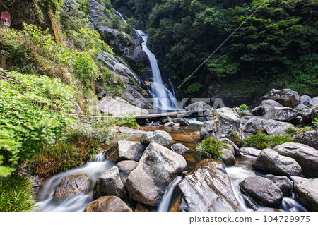 Saga Prefecture / Mikaeri Falls with beautiful fresh greenery 104729975