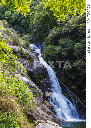 Saga Prefecture / Mikaeri Falls with beautiful fresh greenery Saga Prefecture / Mikaeri Falls with beautiful fresh greenery 104729976