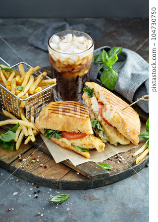 Panini sandwich with chicken and cheese 104730750