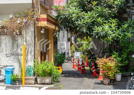 東京中央區，三田，明石町，聖盧克街，夏天，早上，下午，觀光，旅行，人行道，道路，樹木，散步，商店 104730906