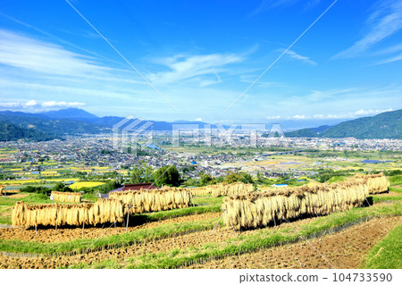 Tanada rice fields in autumn Tanada rice fields in autumn 104733590
