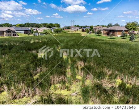 Drone view over marsh wetland and cattails in a drainage area between housing developments.  104733646