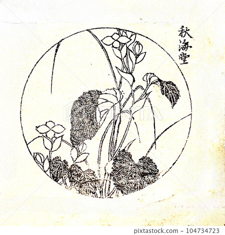 Ukiyo-e illustration material "Akikaitou", from Katsushika Takusai, 5th series of fine drawings, 1865 Ukiyo-e illustration material "Akikaitou", from Katsushika Takusai, 5th series of fine drawings, 1865 104734723