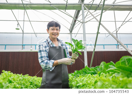 Man showing organic vegetables hydroponic smart farmer in greenhouse farm. Man showing organic vegetables hydroponic smart farmer in greenhouse farm. 104735543