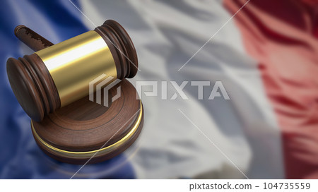 The wood hammer on France flag for laws concept 3d rendering The wood hammer on France flag for laws concept 3d rendering 104735559