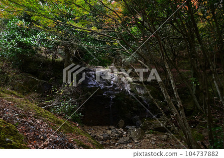Autumn leaves of Takeyasan valley Autumn leaves of Takeyasan valley 104737882