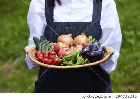 Japanese female farmers carrying baskets of vegetables after finishing their farm work. Japanese female farmers carrying baskets of vegetables after finishing their farm work. 104738336