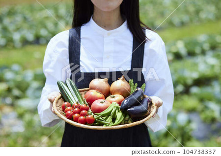 A Japanese female farmer in her 30s holding harvested vegetables. A Japanese female farmer in her 30s holding harvested vegetables. 104738337