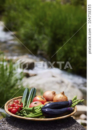 籃子里新鮮採摘的蔬菜 籃子里新鮮採摘的蔬菜 104738355