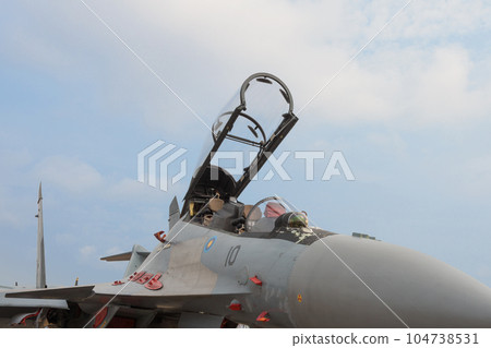 Royal Malaysian Air Force Sukhoi Su-30MKM 104738531