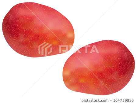 Two "mangoes" Two "mangoes" 104739856