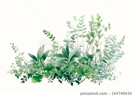 美麗的綠色植物裝飾，白色背景 104740030