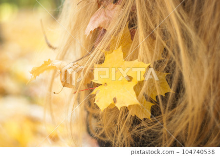 View of woman hair with maple leaves in it View of woman hair with maple leaves in it 104740538