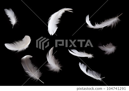 黑色背景上飛翔的白色羽毛 104741291