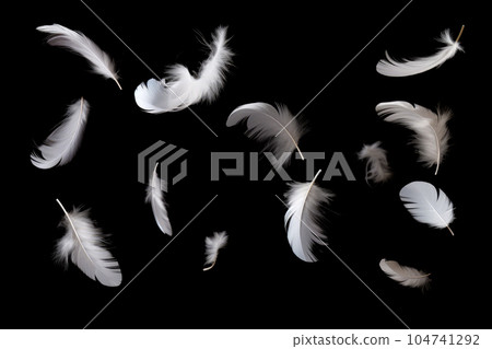 黑色背景上飛翔的白色羽毛 104741292