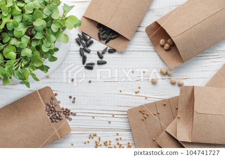 Gardening concept, planting at home 104741727