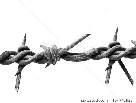 Barbed wire isolated on transparent background Barbed wire isolated on transparent background 104741925