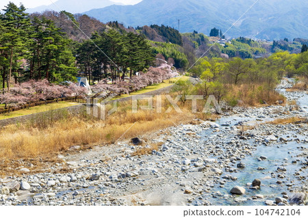 長野縣上伊那郡飯島町與田霧公園的春天景色 104742104