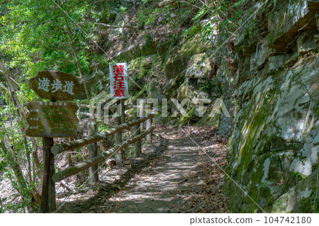 照葉吊橋散步道風景 照葉吊橋散步道風景 104742180