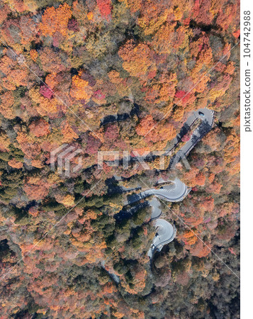 "Tochigi Prefecture" Nikko Irohazaka autumn leaves aerial view "Tochigi Prefecture" Nikko Irohazaka autumn leaves aerial view 104742988