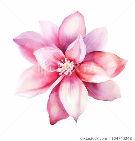 Bright pink Magnolia flower art isolated on white background. Vector watercolor illustration. Watercolor painting of a beautiful colorful dahlia flower. 104743248