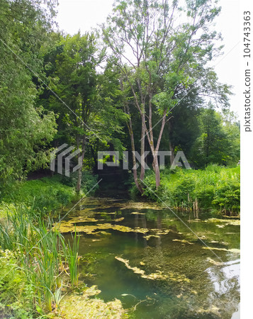 View of Lake in Ray View of Lake in Ray 104743363