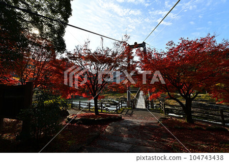 秋天的川代公園 秋天的川代公園 104743438