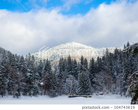 Synevyr against the background of a forest in the Carpathians in winter Synevyr against the background of a forest in the Carpathians in winter 104743619