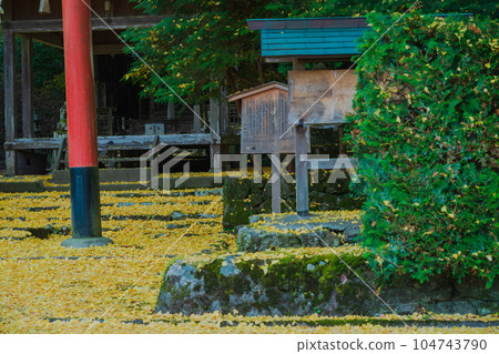 在京都市北區岩戶大千葉神社拍攝深秋的黃色銀杏 在京都市北區岩戶大千葉神社拍攝深秋的黃色銀杏 104743790