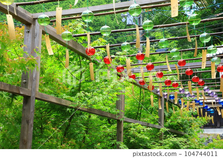 Kyoto Shojuin Wind Chime Festival Kyoto Shojuin Wind Chime Festival 104744011