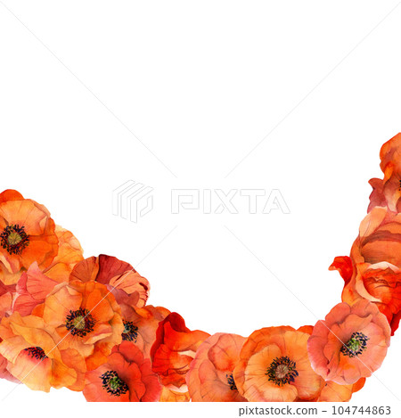 Watercolor square frame composition with hand drawn summer bright red poppy flowers. Isolated on white background. Design for invitations, wedding, love or greeting cards, paper, print, textile 104744863