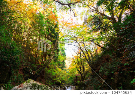 Jabuchi Valley and autumn leaves at the foot of Mt. Nagi 5 Nagi-cho, Katsuta-gun, Okayama Prefecture Jabuchi Valley and autumn leaves at the foot of Mt. Nagi 5 Nagi-cho, Katsuta-gun, Okayama Prefecture 104745624