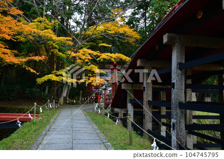 秋天的入都姬神社 秋天的入都姬神社 104745795
